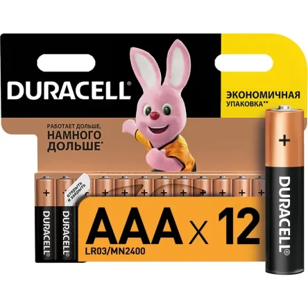 Батарейки мизинчиковые Duracell 12 шт